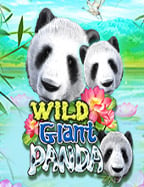 สูตรบาคาร่า truthbet: เทคนิคเพื่อเพิ่มโอกาสชนะ